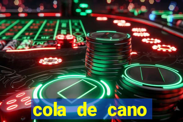 cola de cano quanto tempo para secar